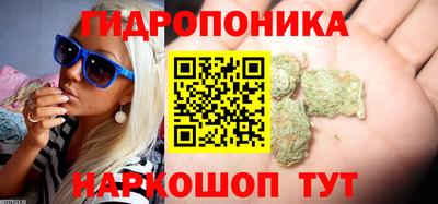 амф Коммунар