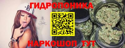амф Коммунар